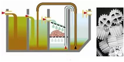 小型污水处理设置滴滤床