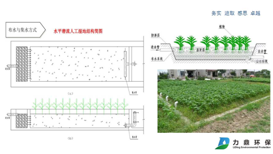 人工湿地示意图